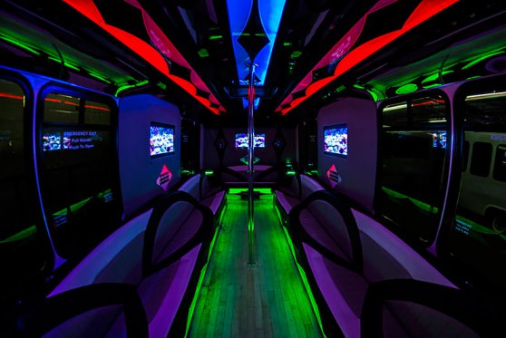 28 Passenger Party Bus